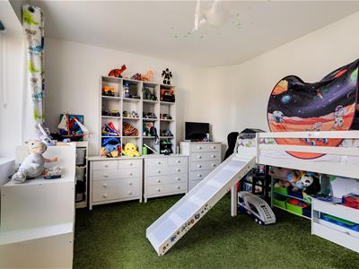 Picture 12